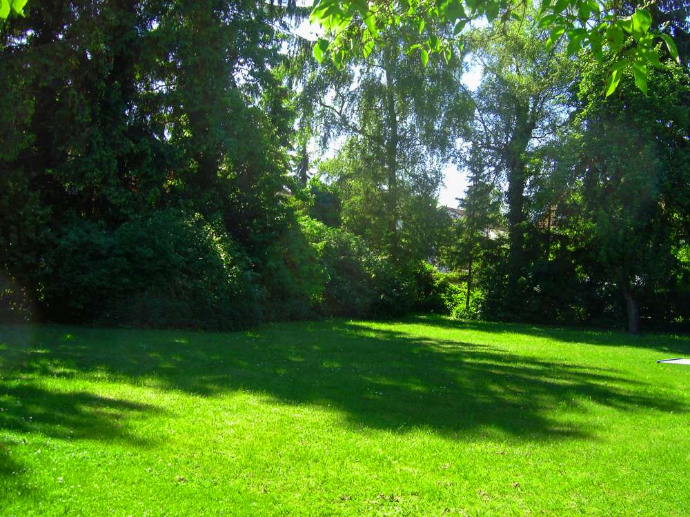 Aktuelle Grundstücke